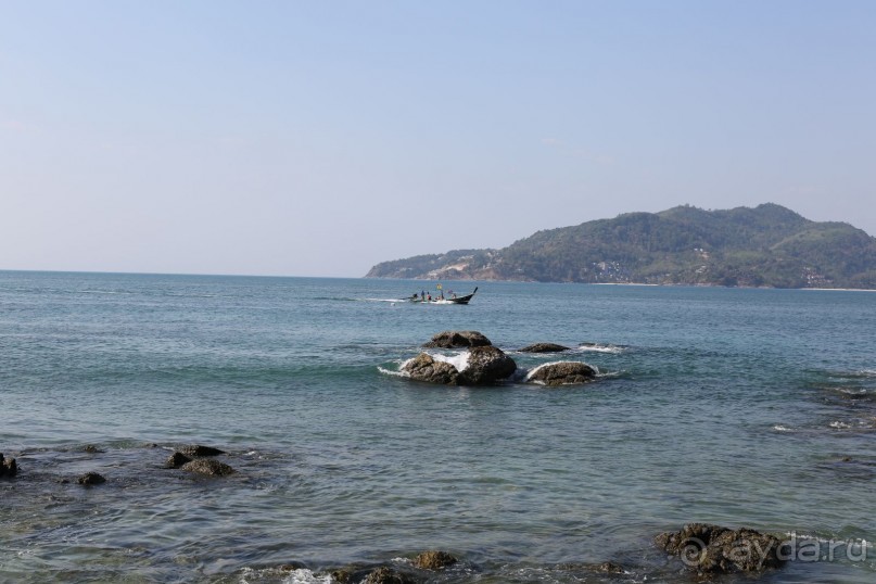 спокойный,зеленый