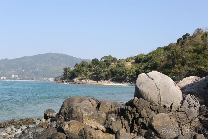 спокойный,зеленый