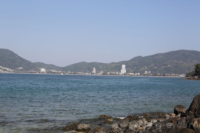 спокойный,зеленый