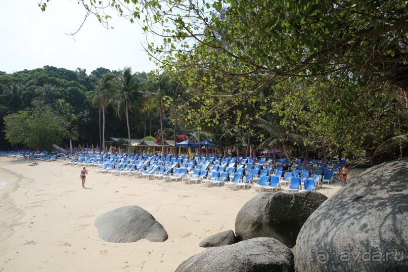 спокойный,зеленый