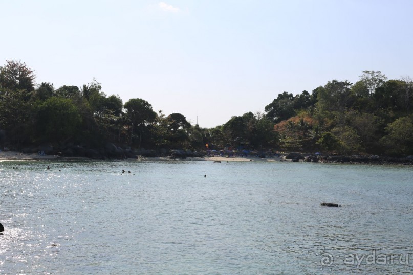 спокойный,зеленый