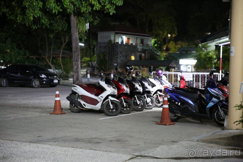 спокойный,зеленый