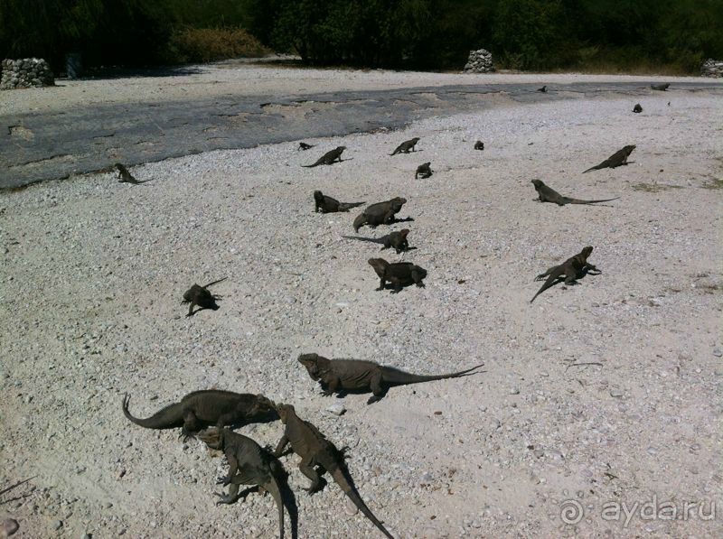 Наше путешествие по Доминикане