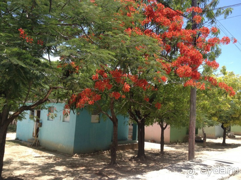 Наше путешествие по Доминикане