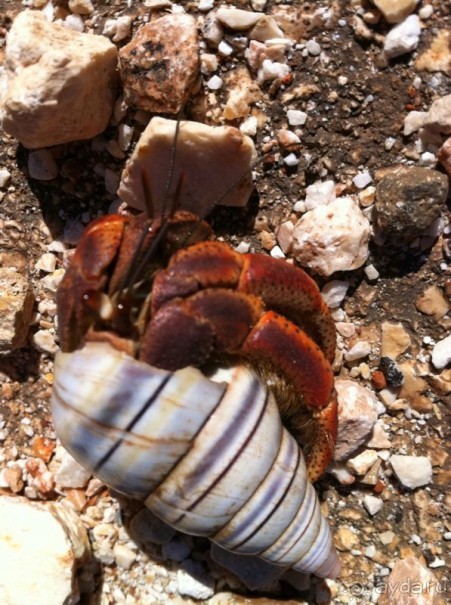 Наше путешествие по Доминикане