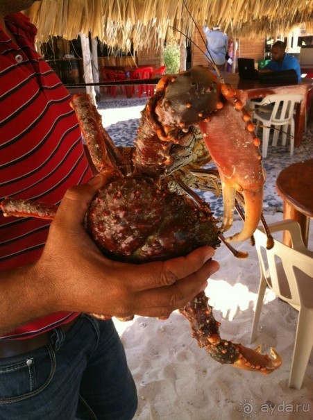 Наше путешествие по Доминикане