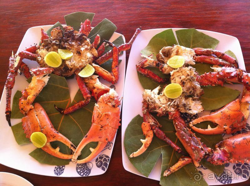 Наше путешествие по Доминикане