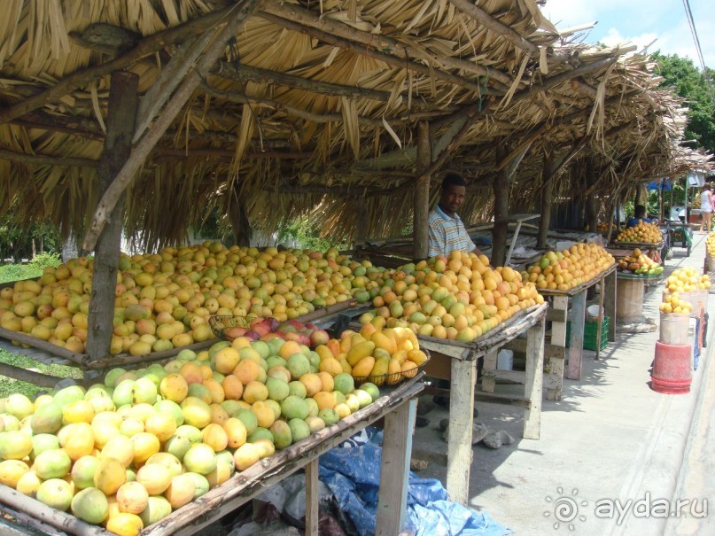Наше путешествие по Доминикане