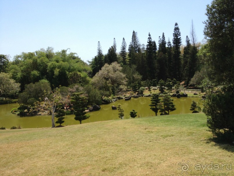 Наше путешествие по Доминикане