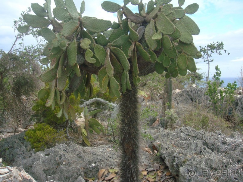 Наше путешествие по Доминикане