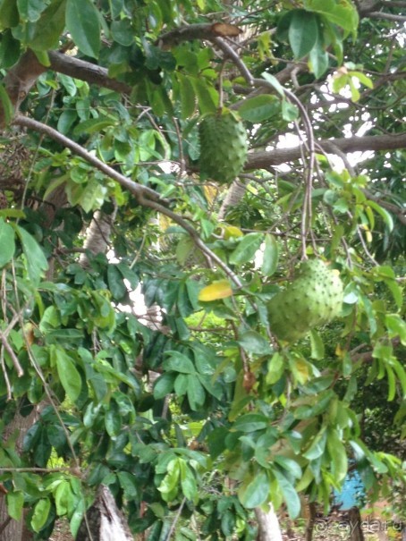 Наше путешествие по Доминикане