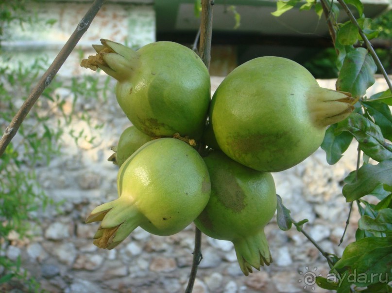 Наше путешествие по Доминикане