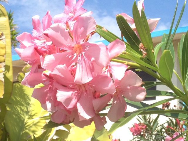 Наше путешествие по Доминикане