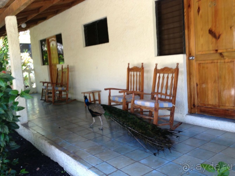 Наше путешествие по Доминикане