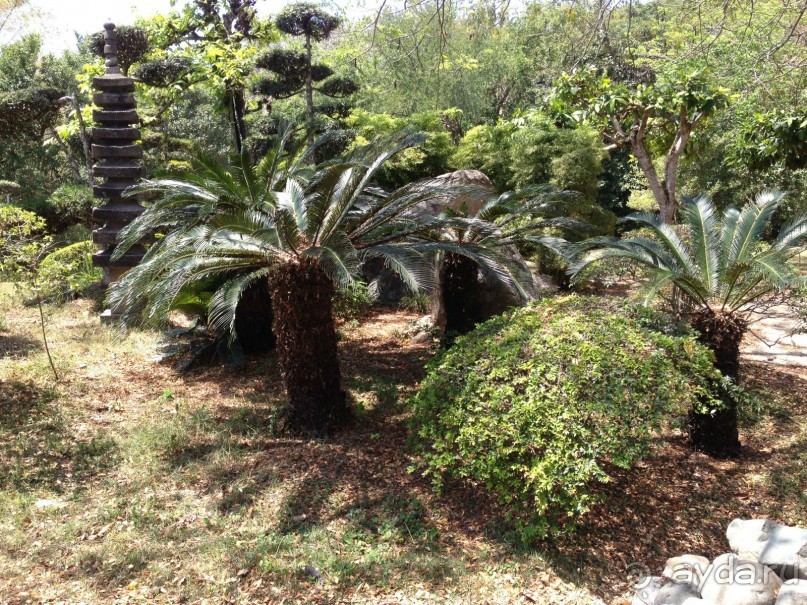 Наше путешествие по Доминикане