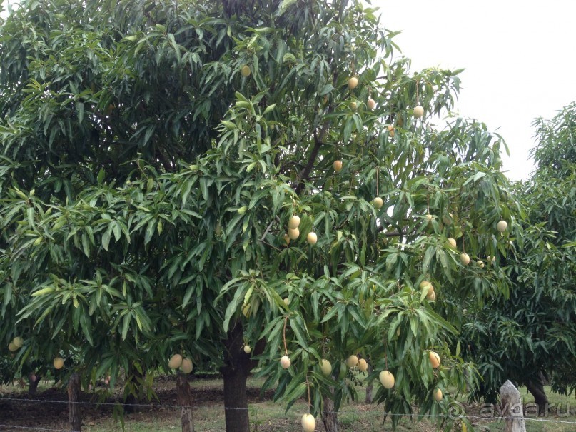 Наше путешествие по Доминикане
