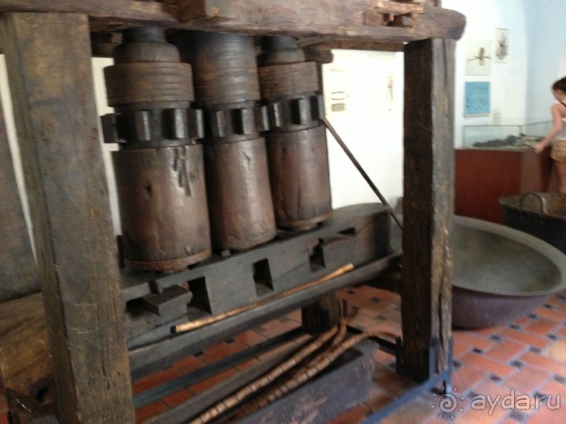 Наше путешествие по Доминикане