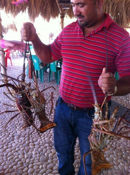 Наше путешествие по Доминикане