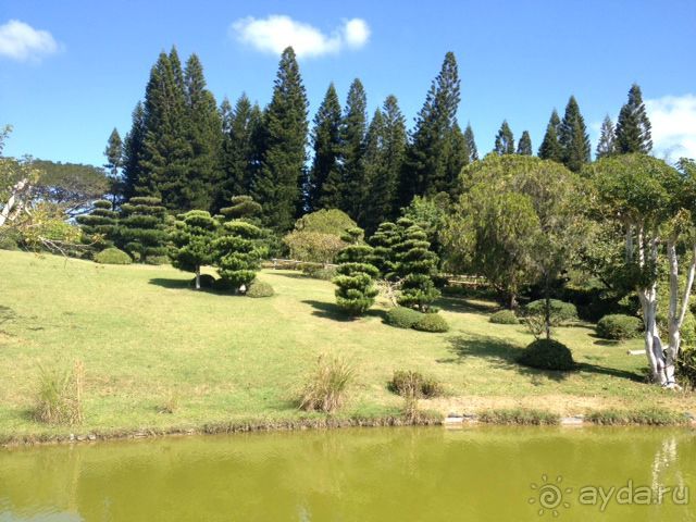 Наше путешествие по Доминикане