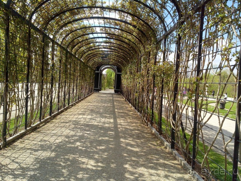 Невозможно не влюбиться...