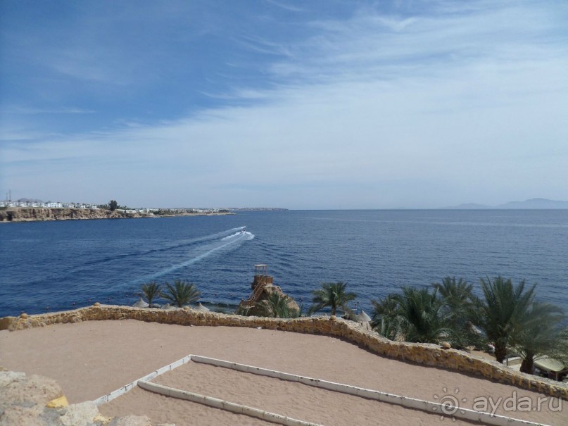 Замечательный отель! Очень вкусное питание!!!