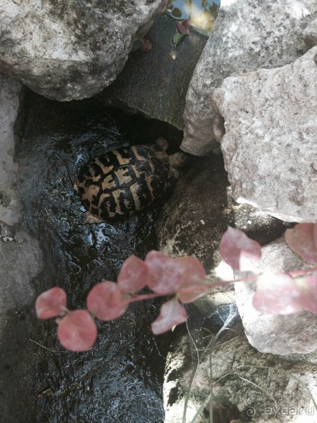 Наша Одиссея!