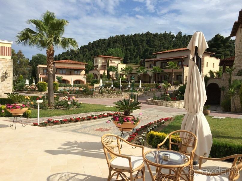 Наша Одиссея!