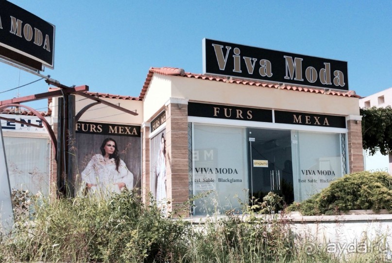 Наша Одиссея!