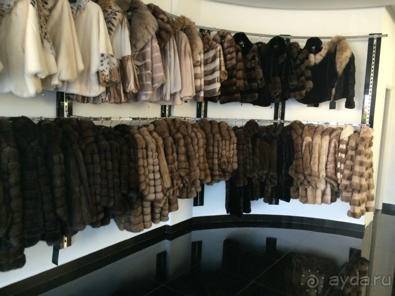 Наша Одиссея!