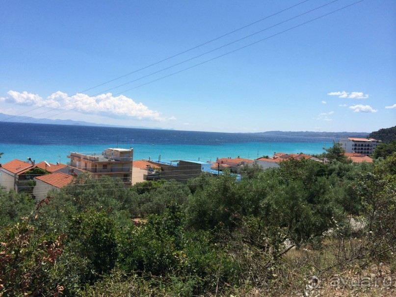 Наша Одиссея!