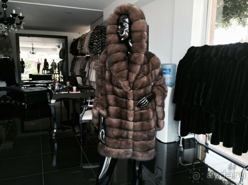 Наша Одиссея!