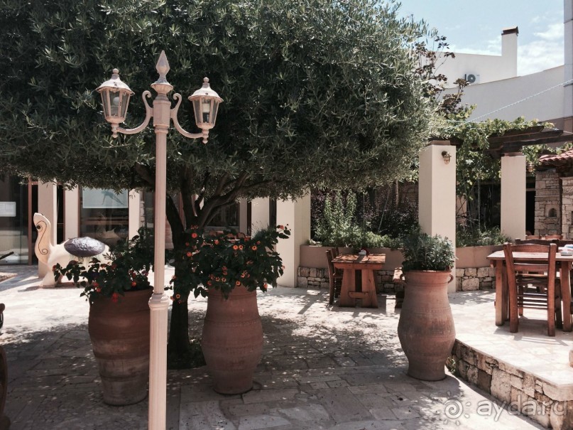 Наша Одиссея!