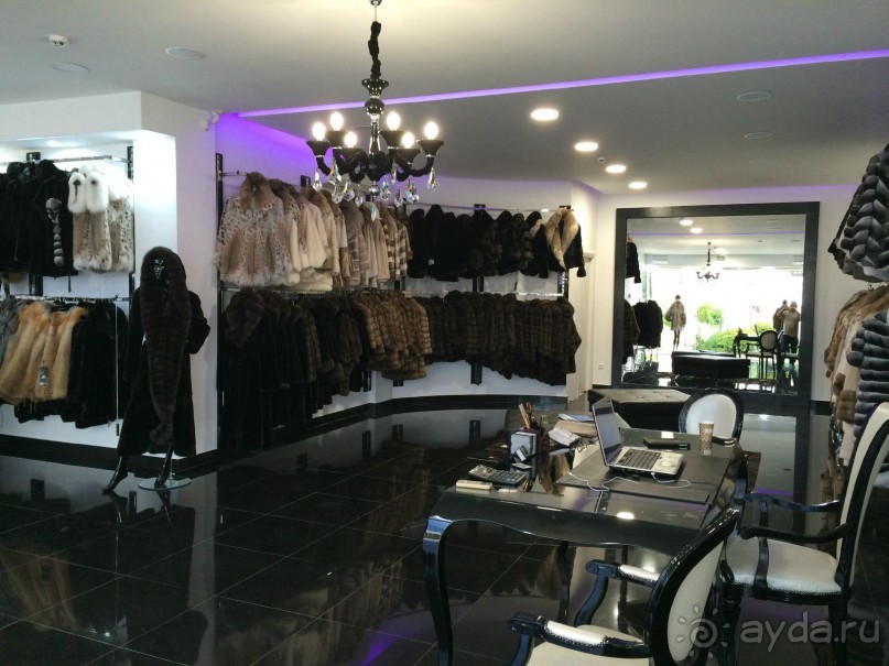 Наша Одиссея!