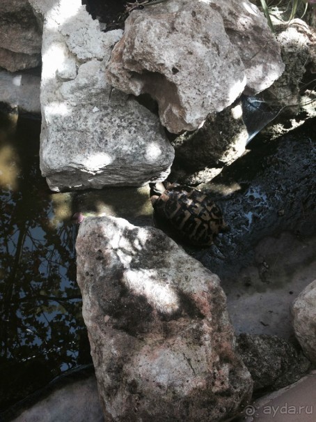 Наша Одиссея!