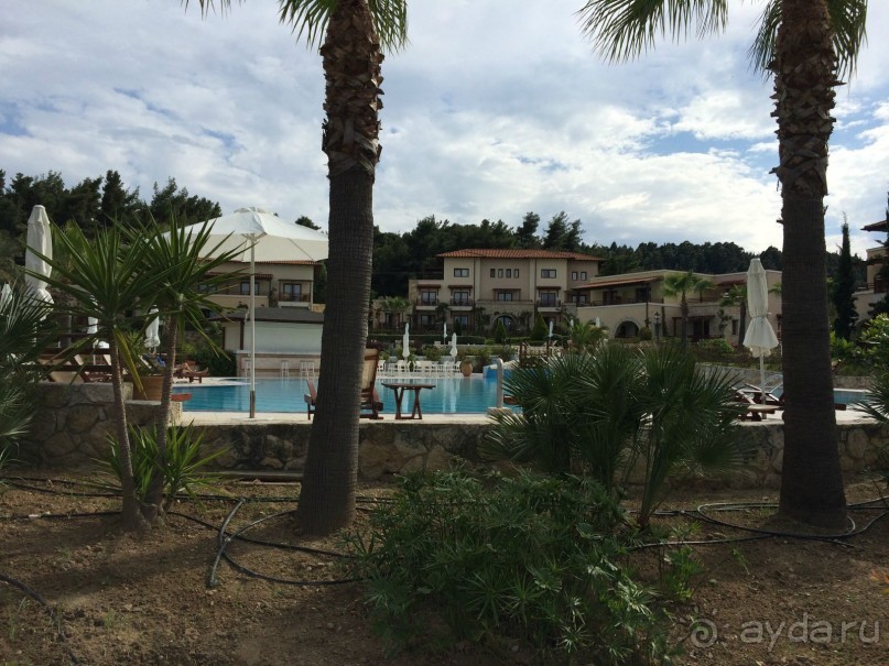 Наша Одиссея!