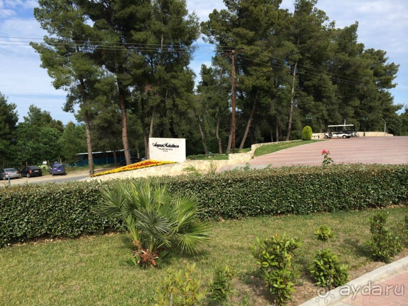 Наша Одиссея!