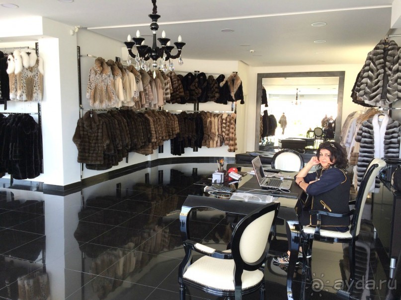 Наша Одиссея!