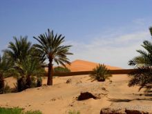фото Jumeirah Zabeel Saray