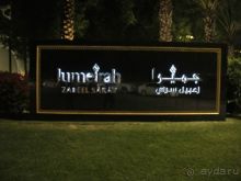 Увидеть Дубай и улететь!