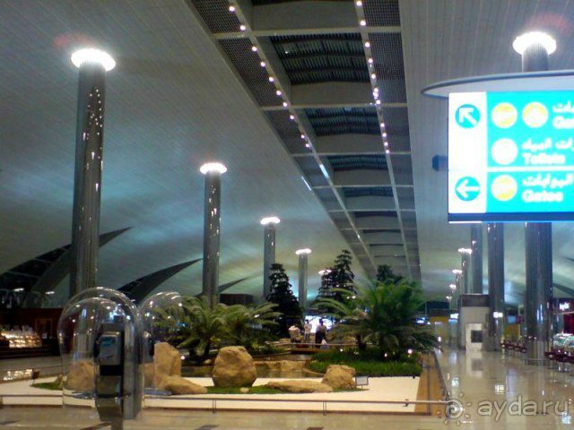 Увидеть Дубай и улететь!