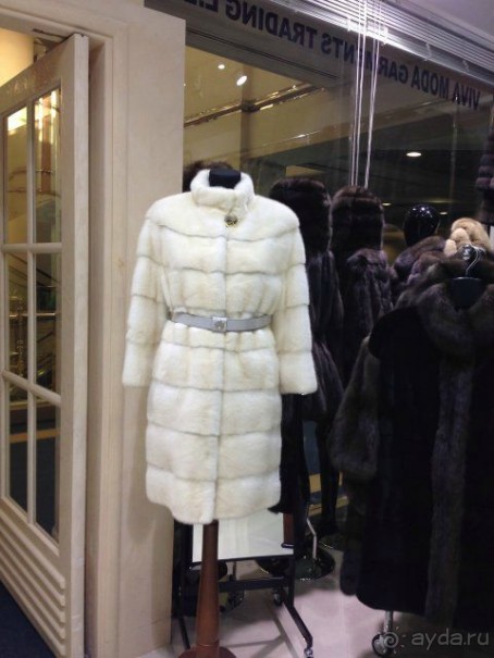 Увидеть Дубай и улететь!