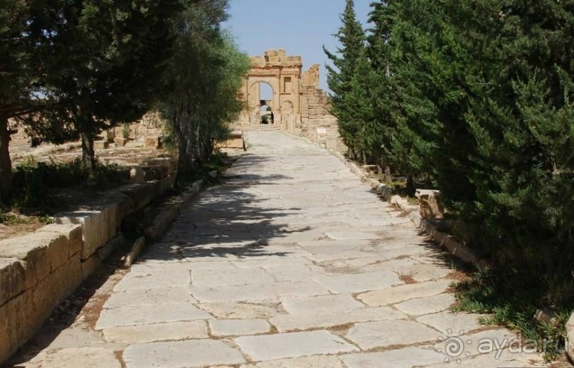 Альбом отзыва "Сбейтла - античные города Туниса "