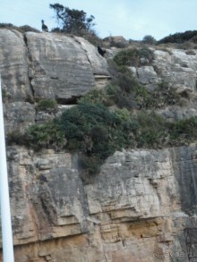 Термальные источники и лечебные грязи 