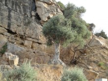 Термальные источники и лечебные грязи 