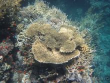 Термальные источники и лечебные грязи 