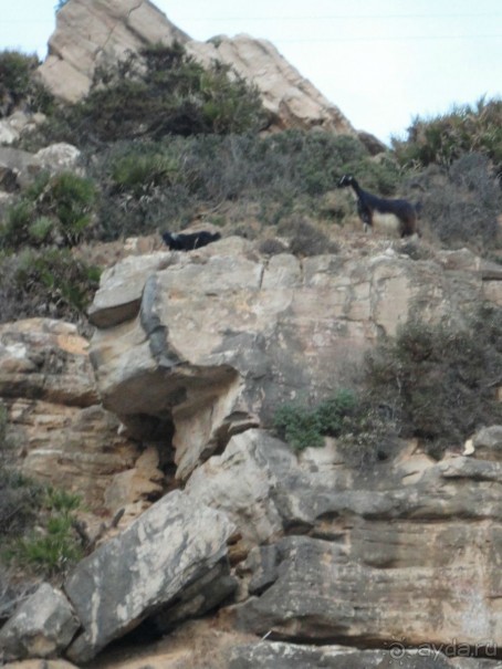 Термальные источники и лечебные грязи 