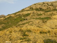 Термальные источники и лечебные грязи 