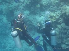 Термальные источники и лечебные грязи 