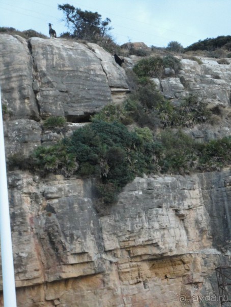 Термальные источники и лечебные грязи 