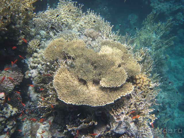 Термальные источники и лечебные грязи 